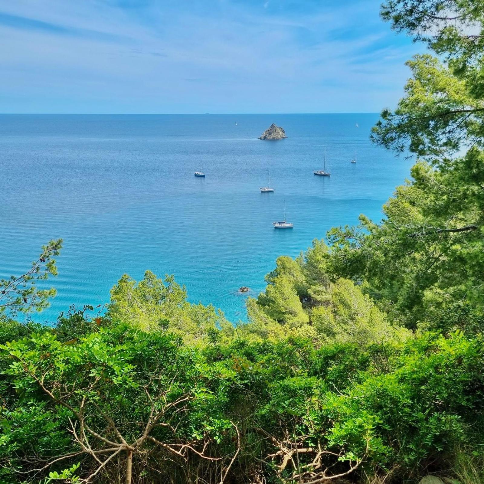T2 43m2, A 250m Grand Jardin Prive Ensoleille