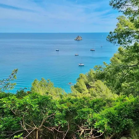 T2 43M2, Plage A 250M Grand Jardin Prive Ensoleille Saint-Mandrier-sur-Mer Exterior foto